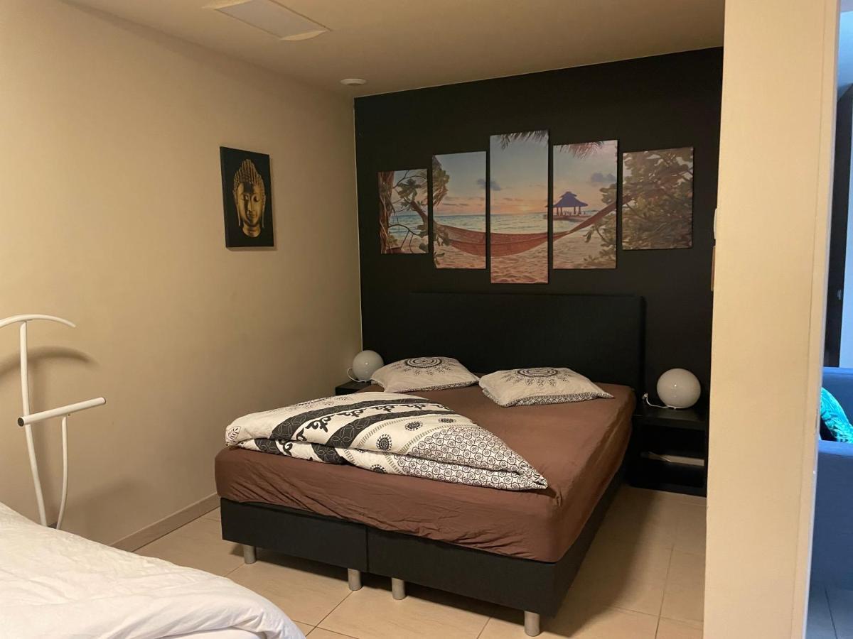 Vlaamse Ardennen Vakantiehuis Casa Caliente Met Wellness Avelgem ภายนอก รูปภาพ